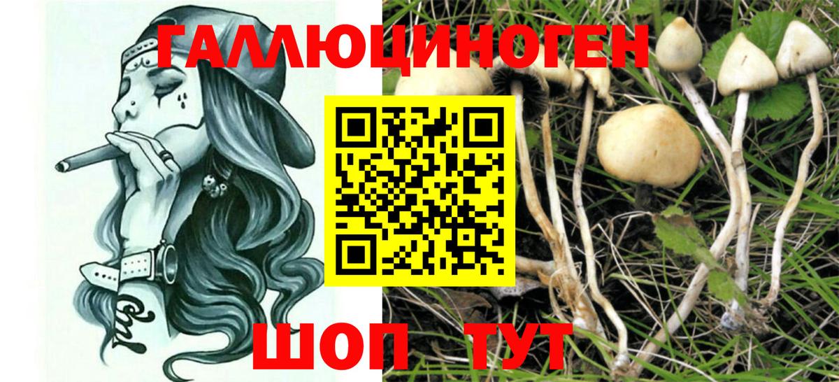 Галлюциногенные грибы мухоморы Киселёвск