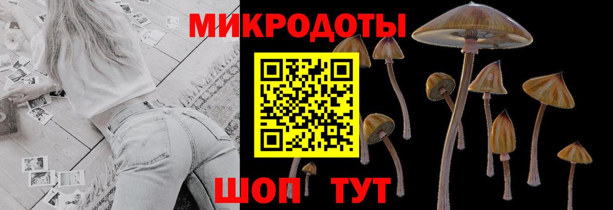 Киселёвск  Псилоцибиновые грибы мухоморы  Галлюциногенные грибы Psilocybe  Вход с VPN 